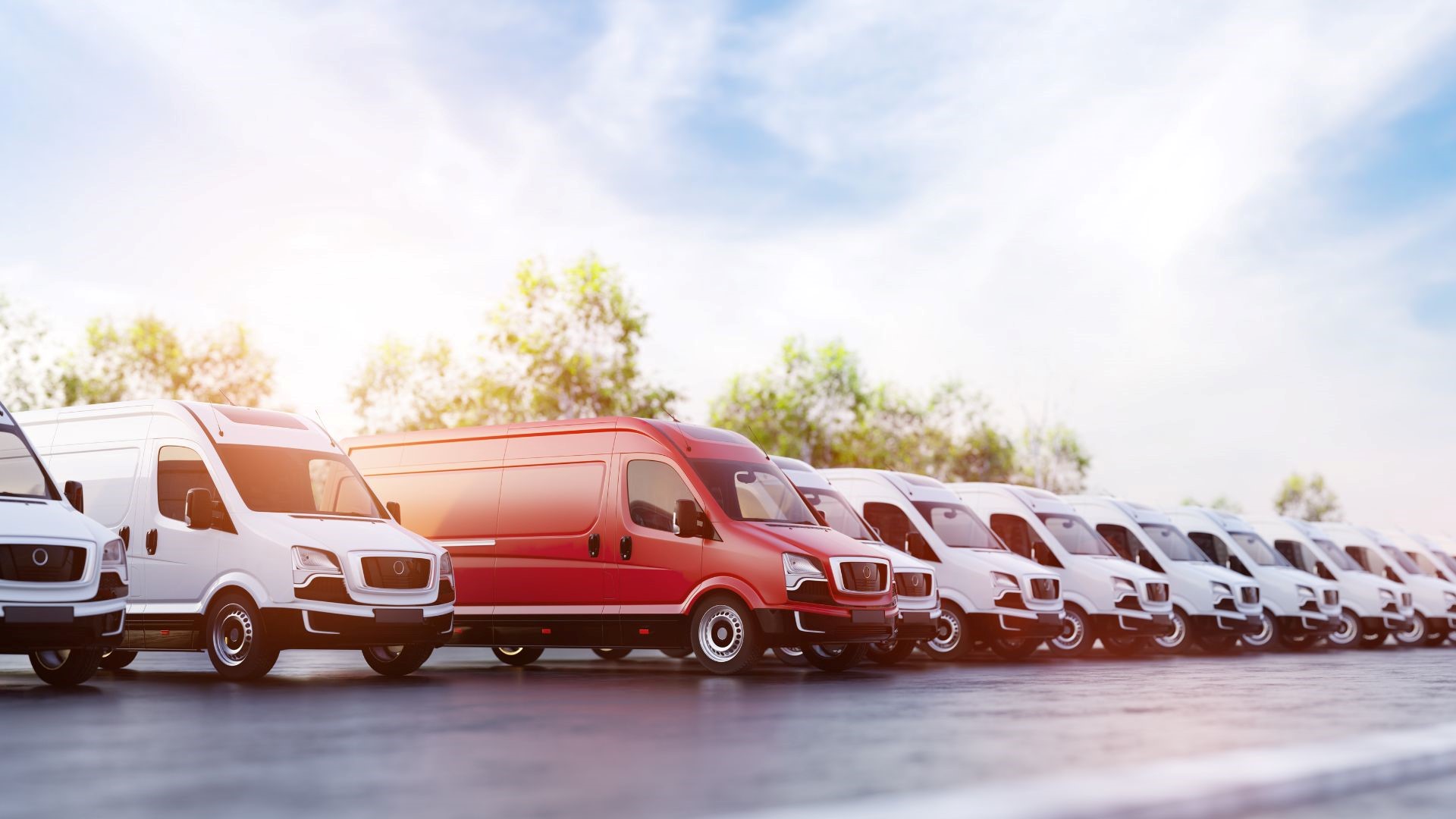 DDN Automotores Flota